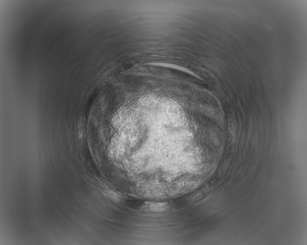 X0000069790665200606021414