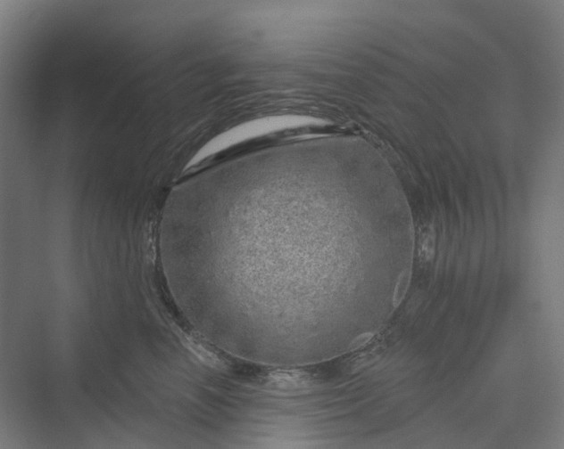 X0000069790666200606021414