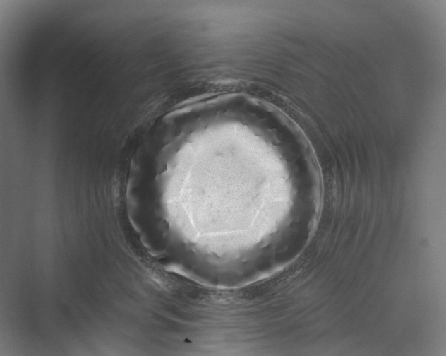 X0000069790668200606021415