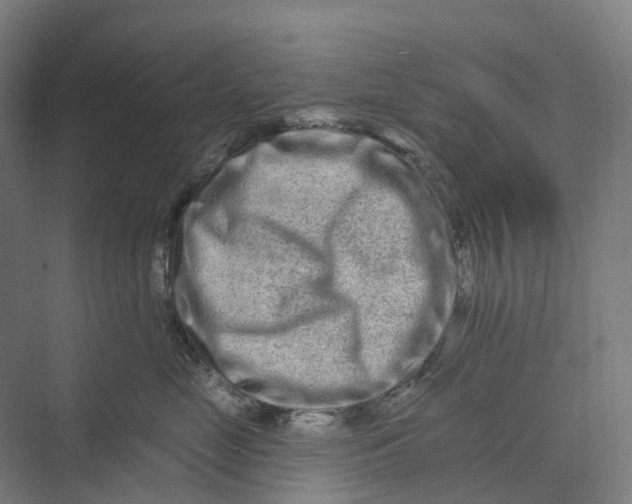 X0000069790669200606021415