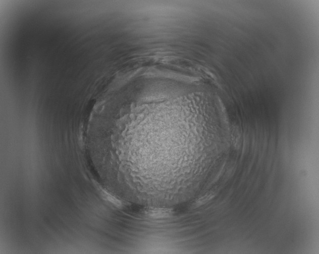 X0000069790670200606021415