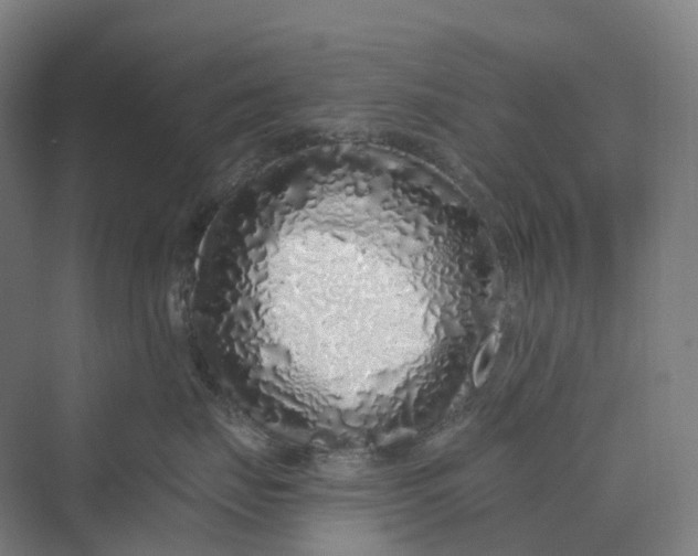 X0000069790671200606021415