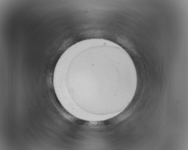 X0000069790672200606021415