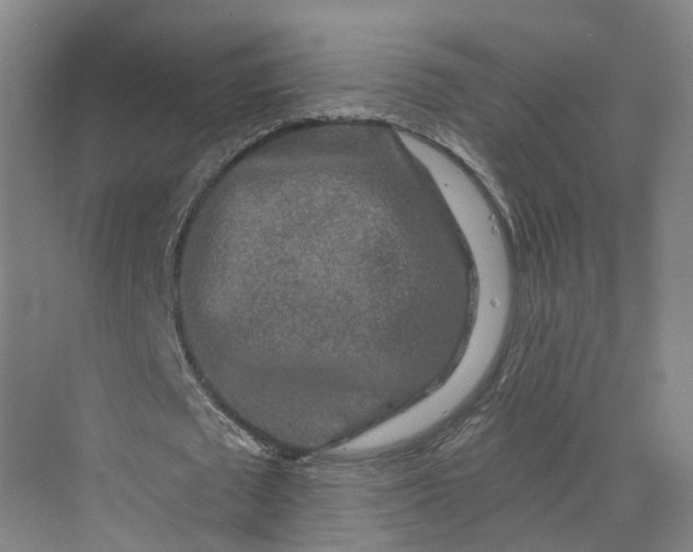 X0000069790673200606021414