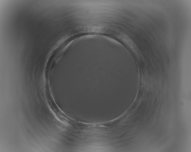 X0000069790674200606021414