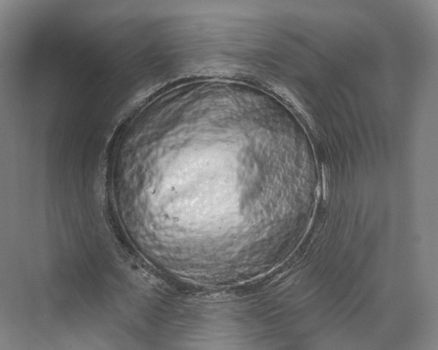 X0000069790675200606021414