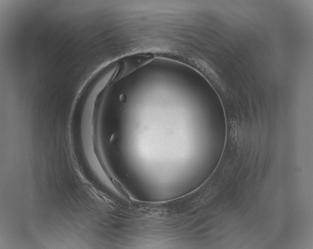 X0000069790676200606021414