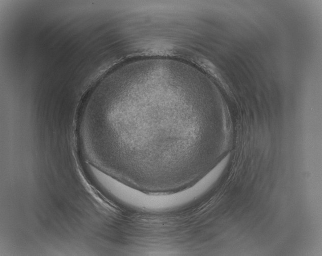 X0000069790677200606021414