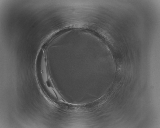 X0000069790678200606021414