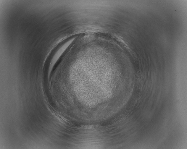 X0000069790679200606021414