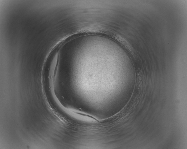 X0000069790680200606021414