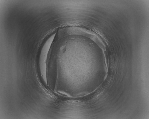 X0000069790681200606021414