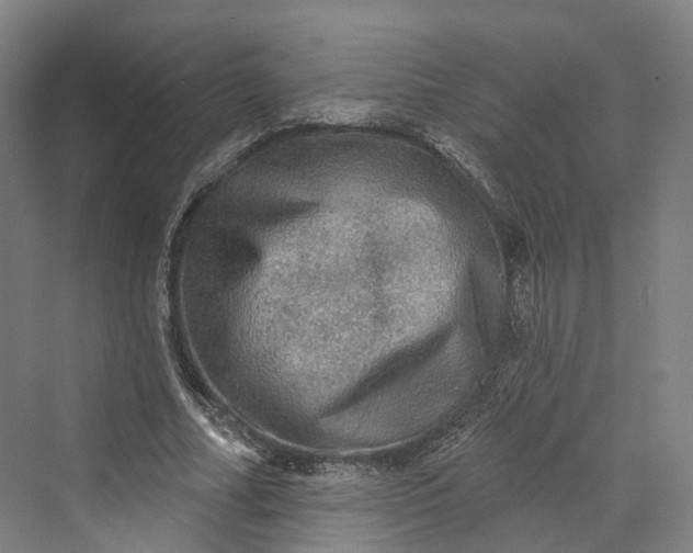 X0000069790682200606021414