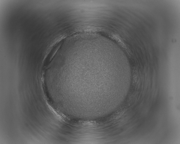 X0000069790683200606021414