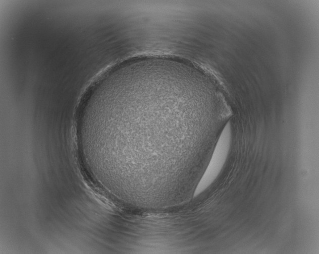 X0000069790684200606021414