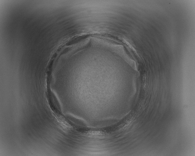 X0000069790685200606021414