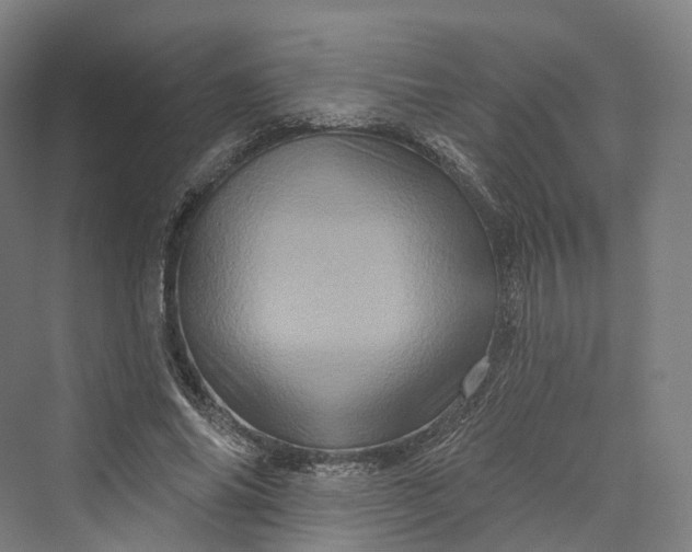 X0000069790686200606021414