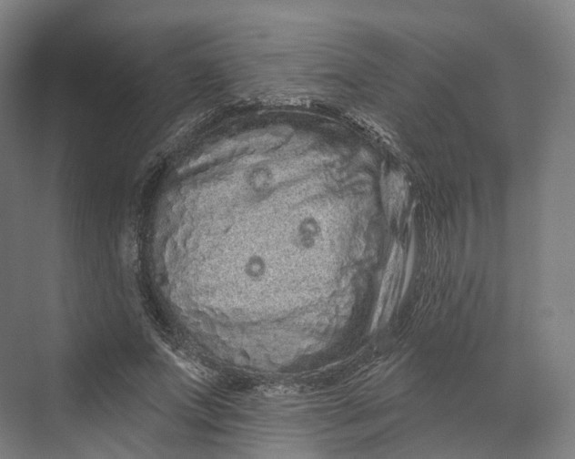 X0000069790687200606021414