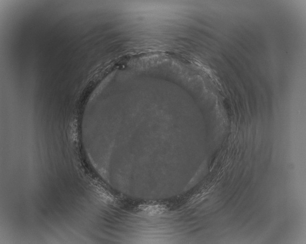 X0000069790689200606021413