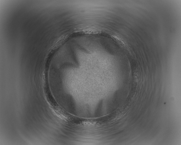 X0000069790690200606021413