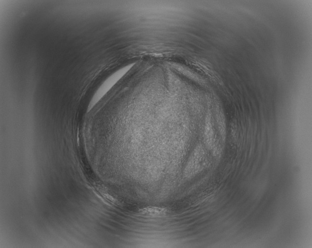 X0000069790691200606021413