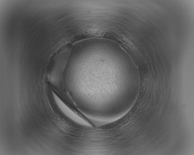 X0000069790693200606021413