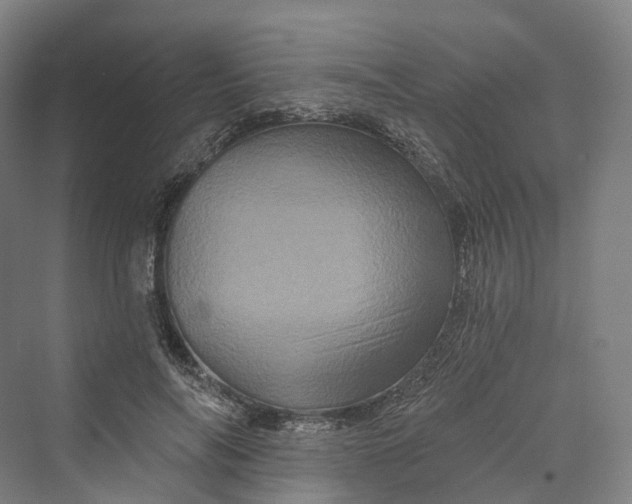 X0000069790694200606021413