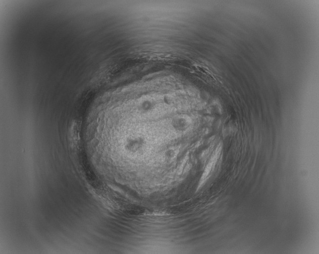 X0000069790695200606021413