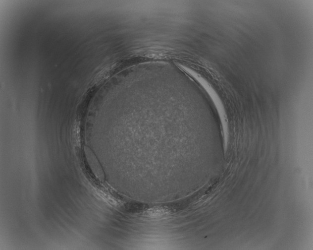 X0000069790696200606021413