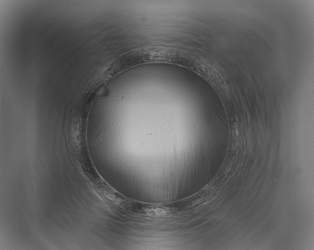 X0000069790698200606021413