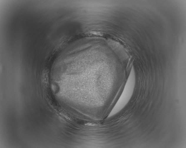 X0000069790699200606021413