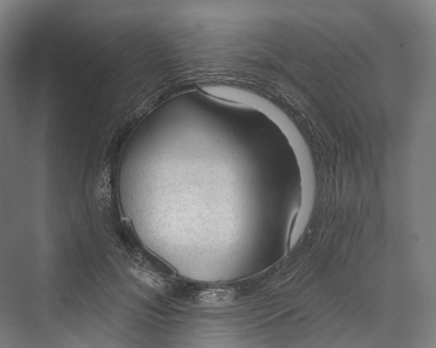 X0000069790700200606021413