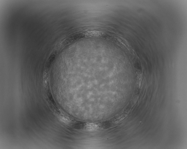 X0000069790701200606021413