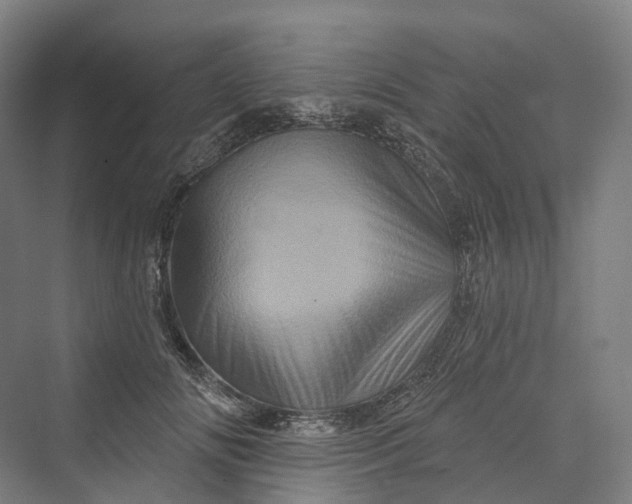 X0000069790702200606021413