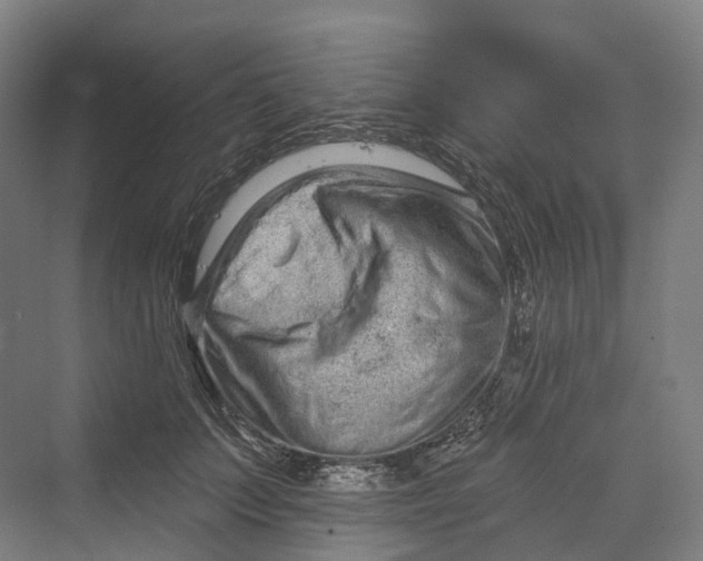 X0000069790703200606021413