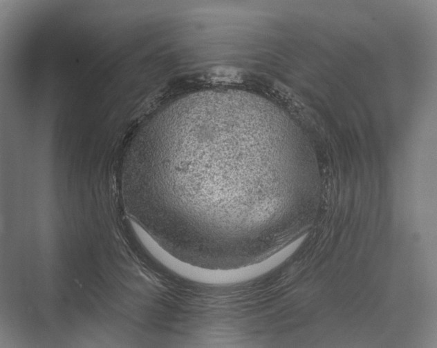 X0000069790704200606021413