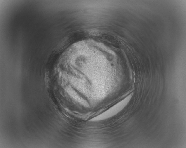 X0000069790707200606021413