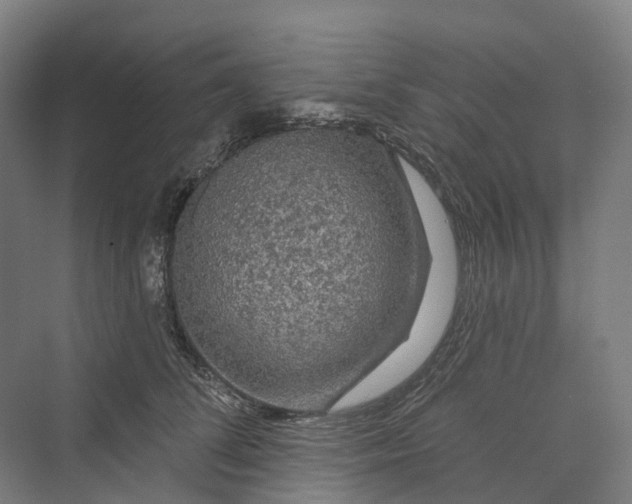 X0000069790708200606021413