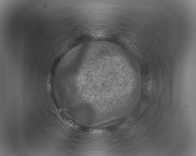 X0000069790710200606021413