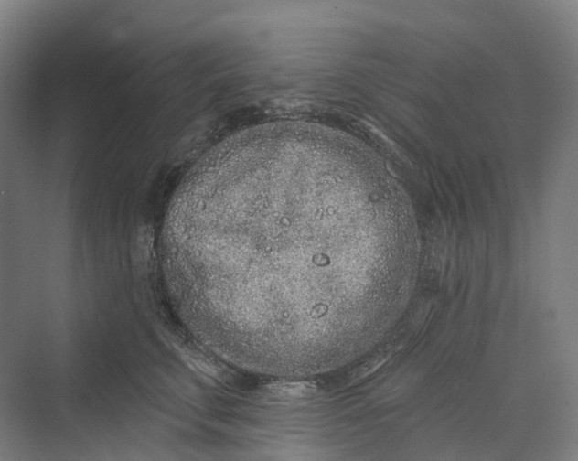 X0000069790711200606021413