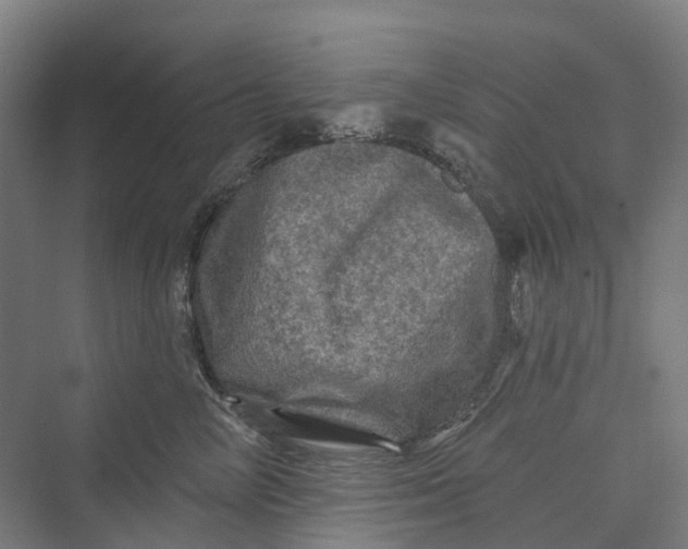 X0000069790714200606021413