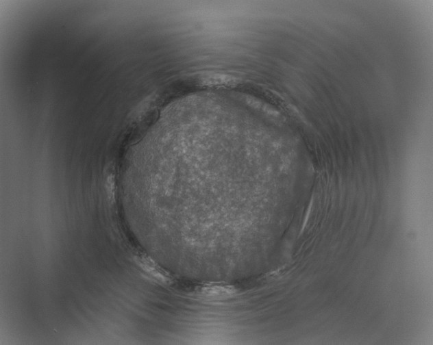 X0000069790716200606021413