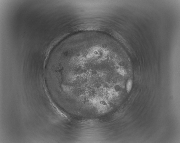 X0000069790721200606021412