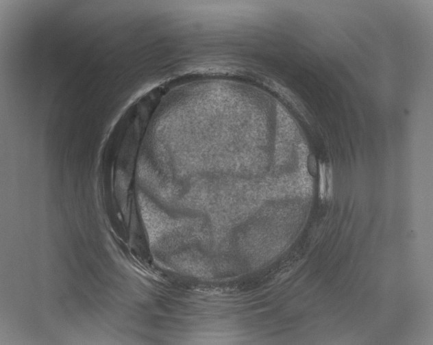 X0000069790723200606021412