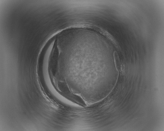 X0000069790724200606021412