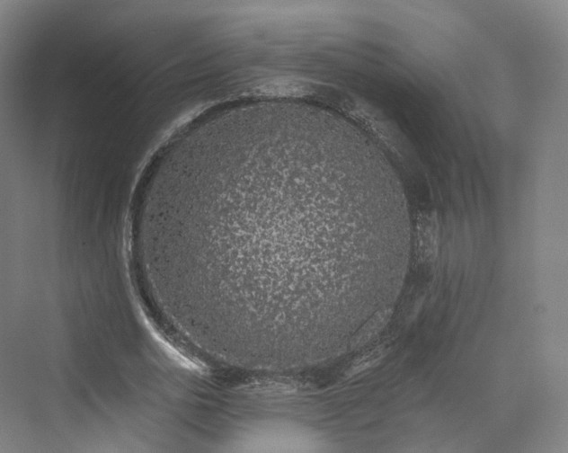 X0000069790726200606021412