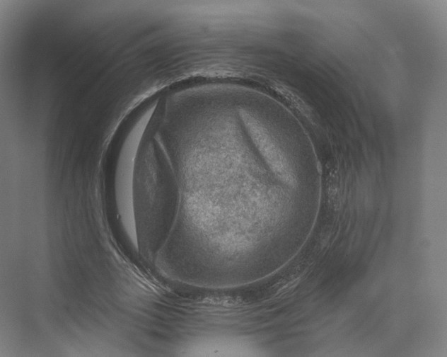 X0000069790727200606021412