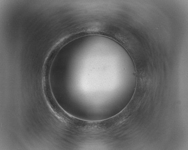 X0000069790728200606021412