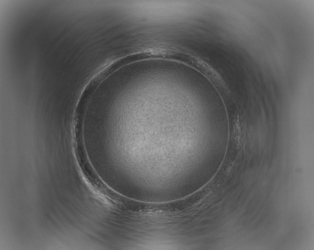 X0000069790730200606021412