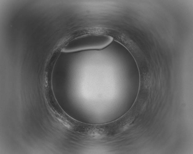 X0000069790731200606021412